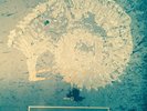 Cocteau Twins AIKEA-GUINIA Lp RARE 4AD 1984 Mint-