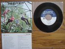 NAZZ Not Wrong Long JAPAN Not For Sale / PROMO 7