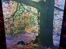 FACTORY SEALED  UNCENSORED 1970 ORIG   JOHN LENNON   Plastic Ono PSYCH BEATLES