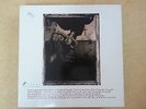 LP, Schallplatte, Pixies 
