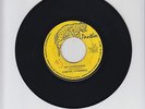 PANTHER/MY CONFESSION  -  CORNEL CAMPBELL  (72 REGGAE ROCKERS 7