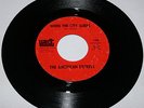 Rare 60's Garage / The American Express / 