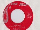 THE JIVES I WANT YOU / LOVE chicano soul TX FUNK Tear Drop 45 HEAR