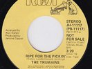TRUMAINS Ripe For The Pickin RARE modern soul 45 GREAT stepper boogie disco HEAR