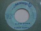 Funk Sweet Soul 45 FIRST FAMILY slow down WASHINGTON listen