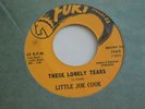 Soul 45 LITTLE JOE COOK these lonely tears FURY listen