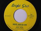 RICKY ALLEN: Skate Boo-ga-loo / It's A Mess I Tell You 45 (co) Soul