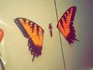 paramore vinyl brand new eyes black and yellow swirl hot topic