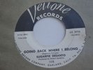 R&B Popcorn 45 SUGARPIE DESANTO going back where i belong VELTONE listen