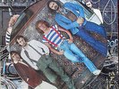RARE LTD EDITION PICTURE DISC - THE WHO - WHO ARE YOU LP - EXCELLENT CONDITION