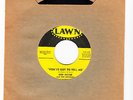 BOB MEYER - YOU'VE GOT TO TELL ME - ORIGINAL LAWN 45 # 238, EX NORTHERN SOUL
