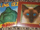 BLINK 182  BUDDHA  CHESHIRE CAT  SPLATTER colored vinyl  Sealed