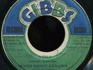 Dennis Brown & Dhaima - A True JA Joe Gibbs 7