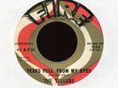 THE TELLERS Tears Fell From My Eyes on Fire R&B Doo Wop 45 Hear