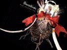 Bowerbirds - Clearing [Vinyl New]
