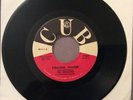 The Zebulons Original 45RPM Falling Water/Wo-Ho-La-Tee-Da