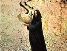 Fleetwood Mac - Pious Bird of Good Omen