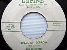 The Primettes FIRST SUPREMES Pre Motown 45 Tears Of Sorrow on Lupine e1037 HEAR