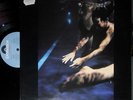 SIOUXSIE & THE BANSHEES THE SCREAM LP UK