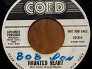 JOHNNY LION Haunted Heart RARE RNR ROCKABILLY 45 COED listen