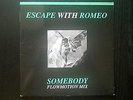 Escape With Romeo - Somebody, Nothing Lasts Forever, Except... 2 x 12