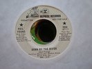 Neil Young 45 Down By The River PROMO REPRISE