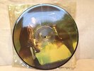 Stevie Ray Vaughan picture disc 