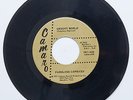 RARE FUNK 45 - FABULOUS CAPRICES 