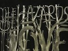 The Hazards Of Love - DECEMBERISTS [LP]