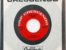 THE SEEDS Your Pushing Too Hard 45 Garage Psych