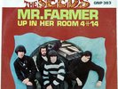 THE SEEDS Mr. Farmer 45 PS Garage Psych