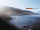 Incubus...Morning View...LP