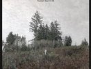 Damien Jurado - Saint Bartlett Vinyl LP 12 Tracks Alternative Pop Rock NEW+
