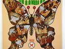 Blowfly 