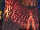 Orange Shading Starlight ?'Same' Italian Prog/Psych Lp Archive Copy