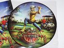 Iron Maiden 'The Evil In Florida' Pic LP Picture Disc Vinyl w Cover 250cop NM/NM