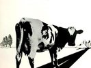 PINK FLOYD - Atom Heart Mother Goes on the Road [BOOTLEG] Vinyl LP