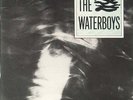 THE WATERBOYS (BRAND NEW SEALED 180gm VINYL RECORD LP)