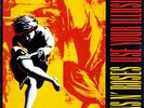 Guns N`Roses - Use Your Illusion 1 Vinyl 2LP + Digital NEU Slash