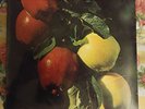 Rare Private Psych Rock LP: The Washington Apple - Fresh Country Apples SEALED