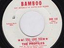 PROFILES I Still Love You RARE northern soul 45 crossover SUPERB dancer LISTEN