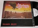 Torture Storm Alert Ex+ on Original Vinyl 1989 LP Record  A2 B2 In Sleeve CORE 2