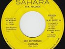 70s Soul 45 - Neo Experience - Human - Sahara - mp3