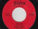 Northern Soul 45 - Ronnie & Robyn - Each Time - Sidra - VG++ mp3