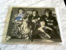 The rolling stones PICTURE DISC 