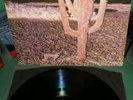 INDIAN SUMMER LP RCA NEON 1971 NE 3  ORIGINAL EXCELLENT