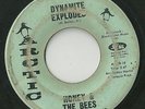 Honey & The Bees 