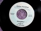 TOMMY DEE& MELLOTONES DRAGONFLY WASHBOARD SHUFFLE LIFETIME   INSTRUMENTAL 45