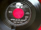 RENE AND RAY QUEEN OF MY HEART VG++ DO WHAT YOU FEEL DONNA 1360 DOO WOP  SOUL 45