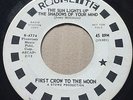 GARAGE PSYCH First Crow To The Moon SUN LIGHTS UP THE SHADOWS Roulette 45 RARE